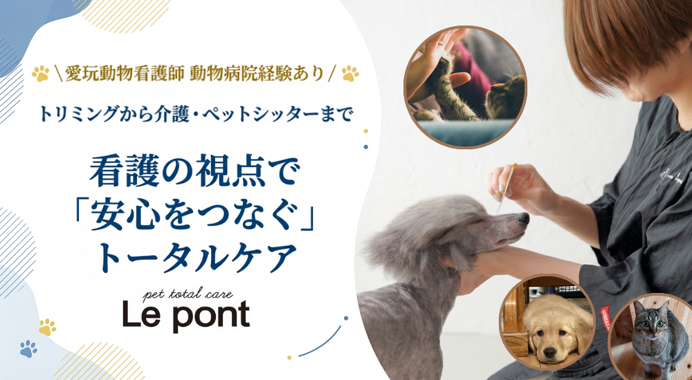 愛玩動物看護師による地域密着型ペットちゃんへの安心ホームサービス